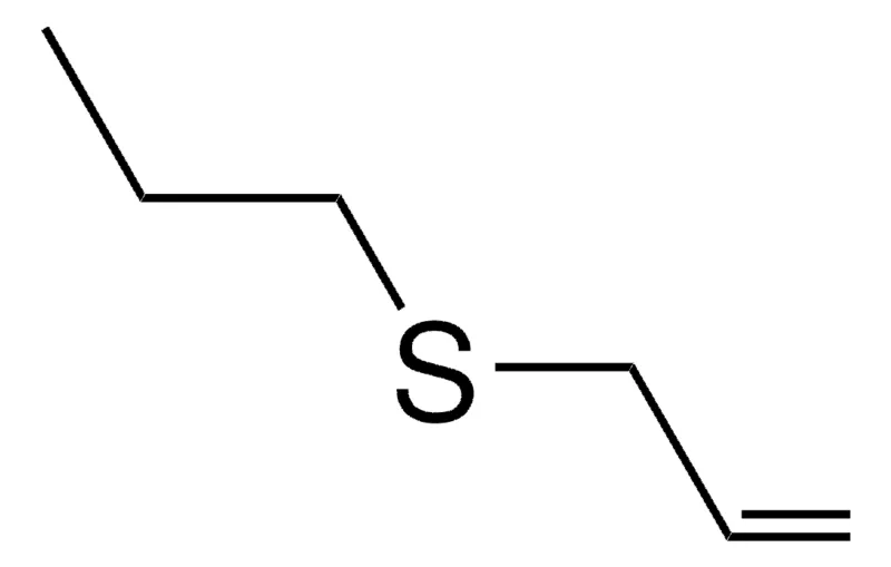 Sigma-Aldrich ALLYL PROPYL SULFIDE,AldrichCPR