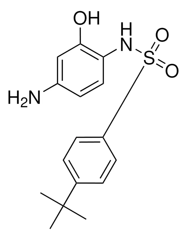 Sigma-Aldrich 4'-AMINO-4-(TERT-BUTYL)-2'-HYDROXYBENZENESULFONANILIDE,AldrichCPR