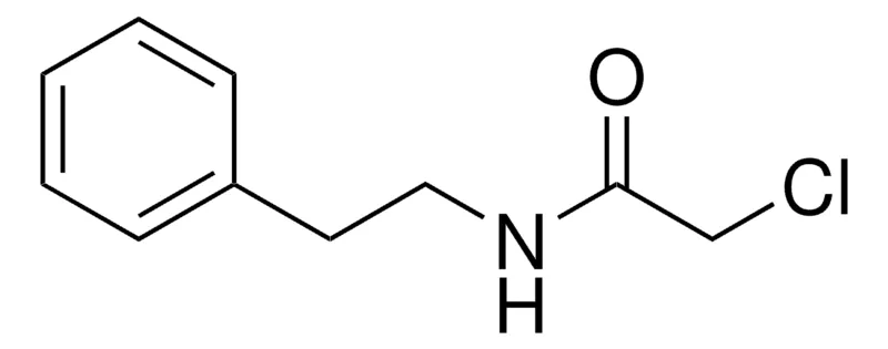 Sigma-Aldrich 2-CHLORO-N-PHENETHYL-ACETAMIDE,AldrichCPR