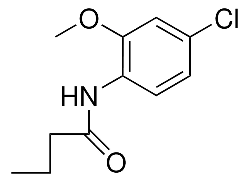Sigma-Aldrich 4'-CHLORO-2'-METHOXYBUTYRANILIDE,AldrichCPR