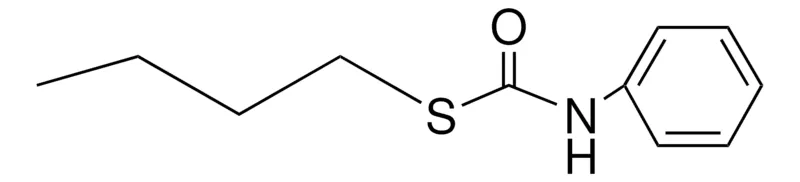 Sigma-Aldrich S-BUTYL N-PHENYLTHIOCARBAMATE,AldrichCPR