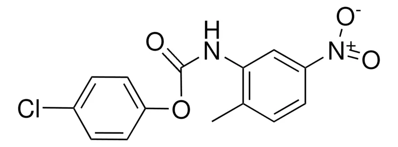 Sigma-Aldrich 4-CHLOROPHENYL N-(2-METHYL-5-NITROPHENYL)CARBAMATE,AldrichCPR