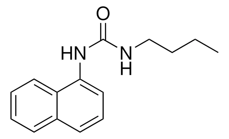 Sigma-Aldrich 1-BUTYL-3-(1-NAPHTHYL)UREA,AldrichCPR