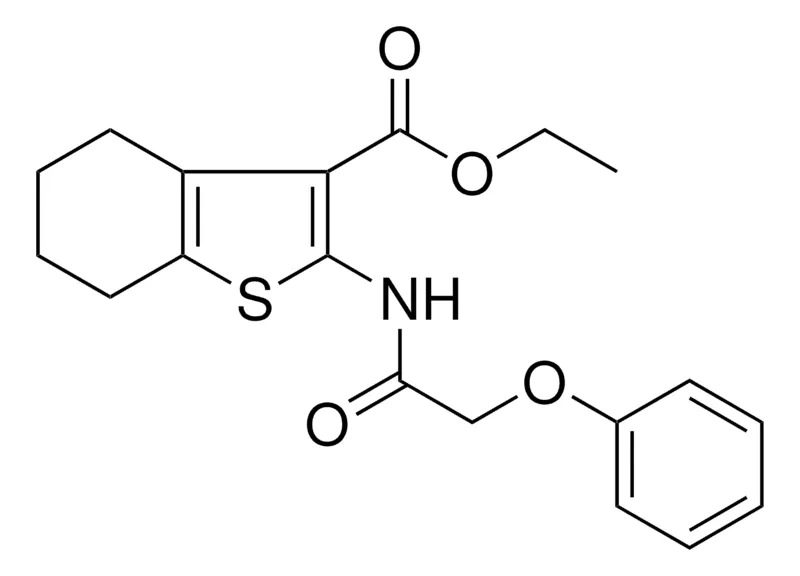 Sigma-Aldrich 2-(2-PHENOXY-ACETYLAMINO)4,5,6,7-4H-BENZO(B)THIOPHENE-3-CARBOXYLIC ACID ET ESTER,AldrichCPR