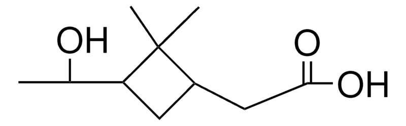 Sigma-Aldrich (+/-)-PINOLIC ACID,AldrichCPR