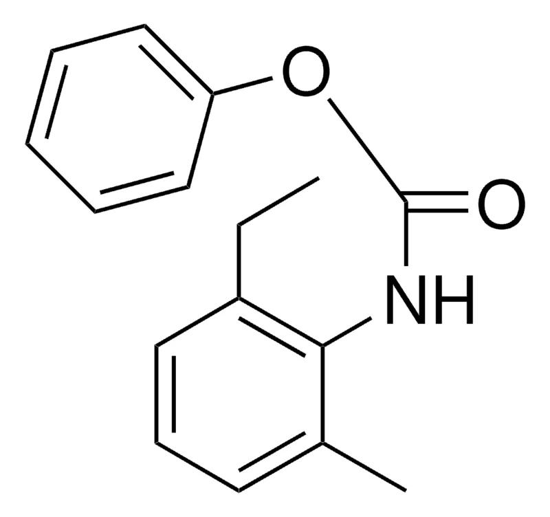 Sigma-Aldrich PHENYL N-(2-ETHYL-6-METHYLPHENYL)CARBAMATE，AldrichCPR
