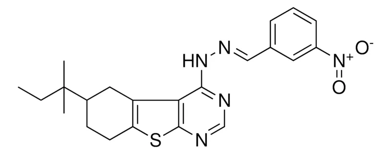 Sigma-Aldrich 3-NITROBENZALDEHYDE (6-TERT-PENTYL-5,6,7,8-TETRAHYDRO[1]BENZOTHIENO[2,3-D]PYRIMIDIN-4-YL)HYDRAZONE，AldrichCPR