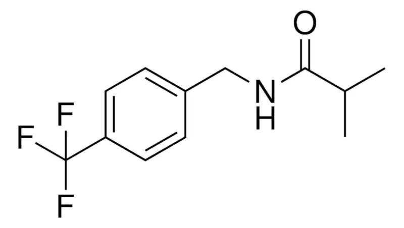 Sigma-Aldrich N-(4-TRIFLUOROMETHYL-BENZYL)-ISOBUTYRAMIDE,AldrichCPR