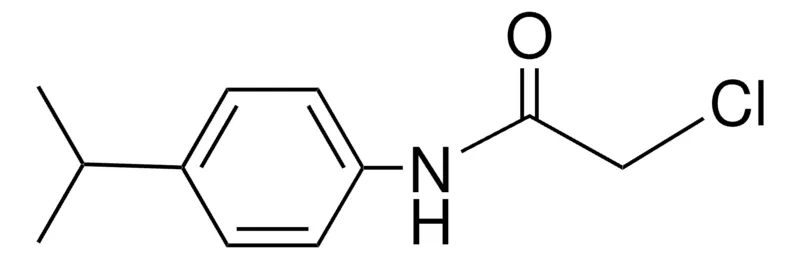 Sigma-Aldrich 2-CHLORO-N-(4-ISOPROPYL-PHENYL)-ACETAMIDE,AldrichCPR