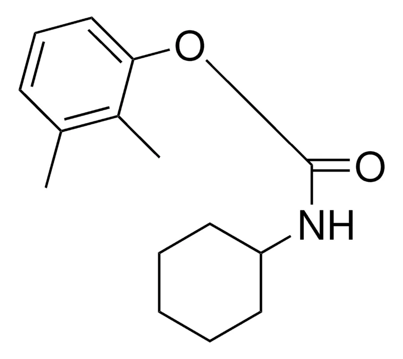 Sigma-Aldrich 2,3-XYLYL N-CYCLOHEXYLCARBAMATE,AldrichCPR