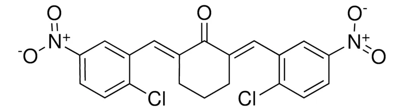 Sigma-Aldrich 2,6-BIS(2-CHLORO-5-NITROBENZYLIDENE)-1-CYCLOHEXANONE,AldrichCPR