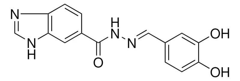 Sigma-Aldrich N'-(3,4-DIHYDROXYBENZYLIDENE)-1H-BENZIMIDAZOLE-6-CARBOHYDRAZIDE,AldrichCPR