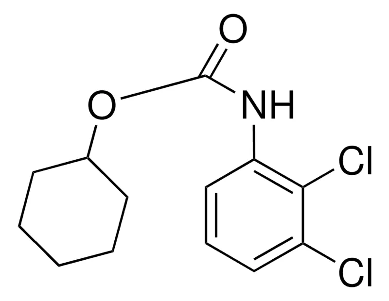 Sigma-Aldrich CYCLOHEXYL N-(2,3-DICHLOROPHENYL)CARBAMATE,AldrichCPR
