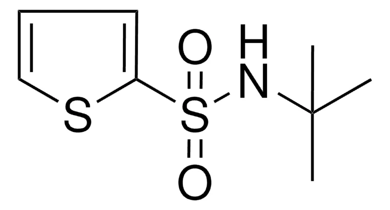 Sigma-Aldrich N-(TERT-BUTYL)-2-THIOPHENESULFONAMIDE,AldrichCPR