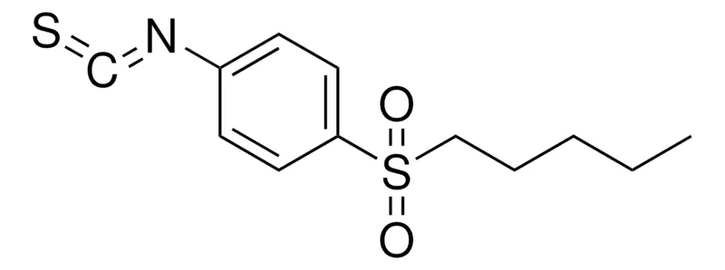Sigma-Aldrich 1-ISOTHIOCYANATO-4-(PENTYLSULFONYL)BENZENE,AldrichCPR