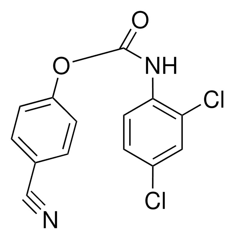 Sigma-Aldrich 4-CYANOPHENYL N-(2,4-DICHLOROPHENYL)CARBAMATE,AldrichCPR