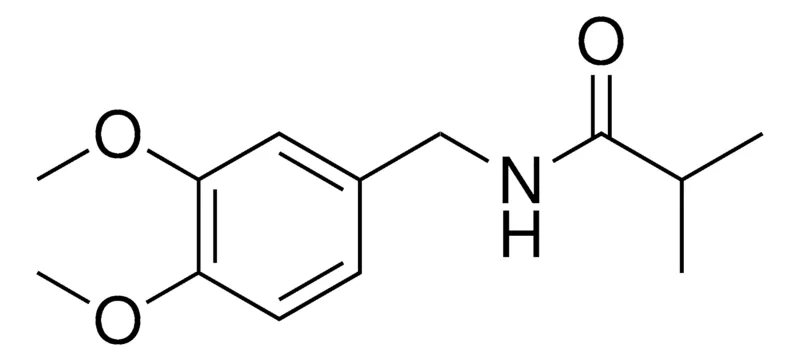 Sigma-Aldrich N-(3,4-DIMETHOXY-BENZYL)-ISOBUTYRAMIDE,AldrichCPR