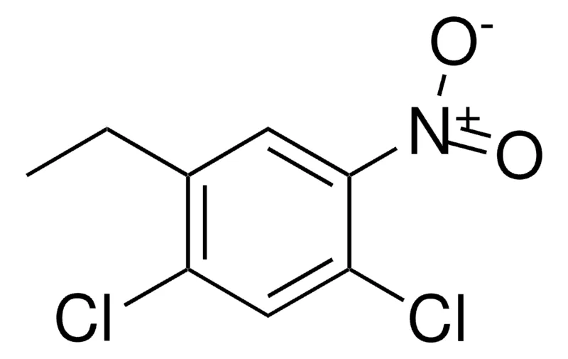 Sigma-Aldrich 1,3-DICHLORO-6-ETHYL-4-NITROBENZENE,AldrichCPR