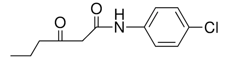 Sigma-Aldrich 3-OXO-HEXANOIC ACID (4-CHLORO-PHENYL)-AMIDE，AldrichCPR