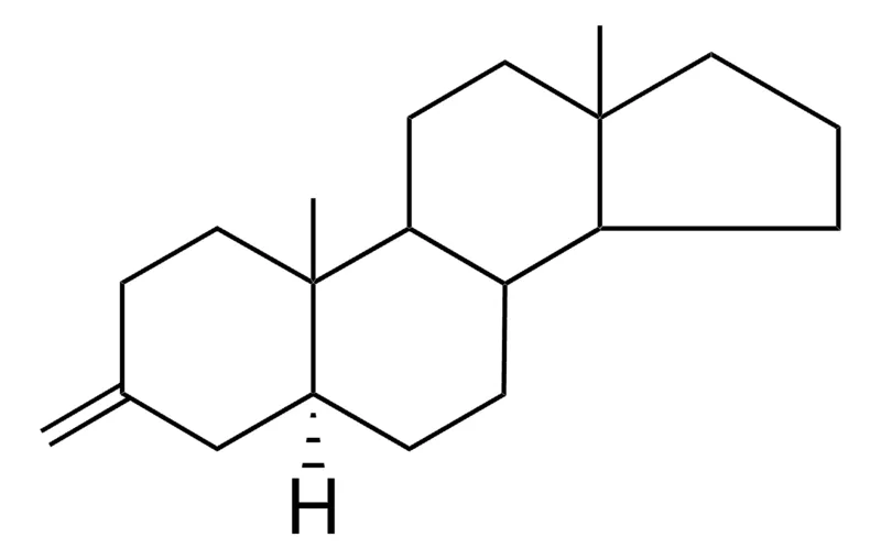 Sigma-Aldrich 3-METHYLENE-5-ALPHA-ANDROSTANE (CRUDE),AldrichCPR