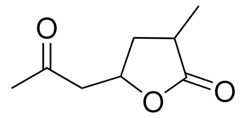 Sigma-Aldrich 3-METHYL-5-(2-OXOPROPYL)DIHYDRO-2(3H)-FURANONE，AldrichCPR