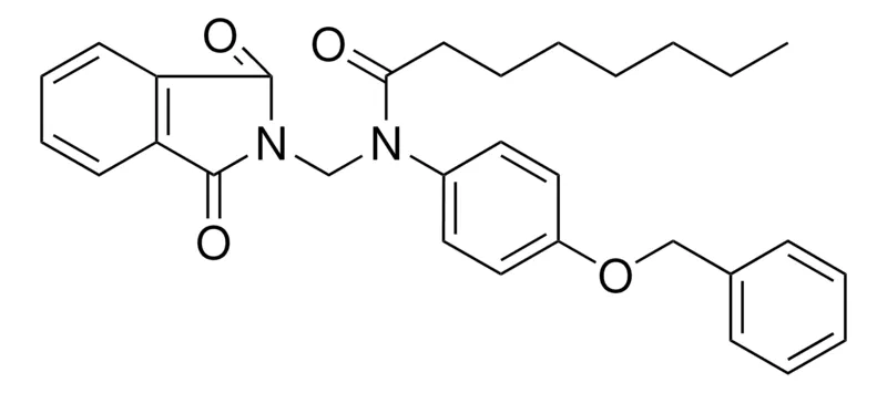 Sigma-Aldrich OCTANOIC ACID (4-BENZYLOXY-PH)-(1,3-DIOXO-1,3-DIHYDRO-ISOINDOL-2-YLMETHYL)-AMIDE,AldrichCPR