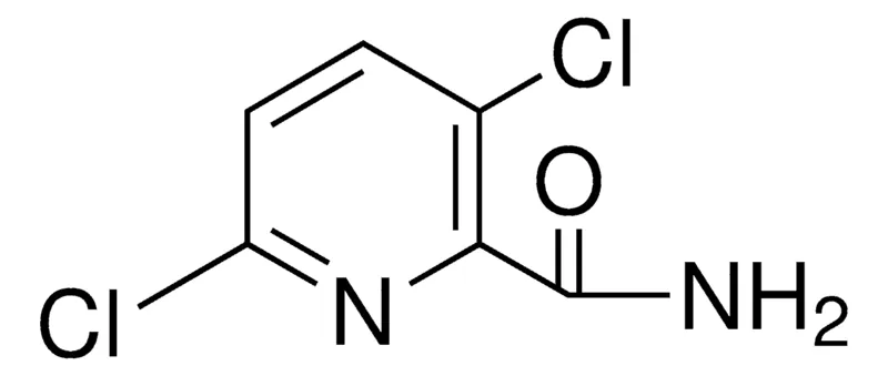 Sigma-Aldrich 3,6-DICHLORO-PYRIDINE-2-CARBOXYLIC ACID AMIDE，AldrichCPR