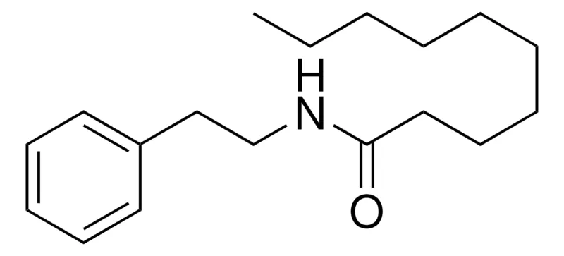 Sigma-Aldrich N-(2-PHENYLETHYL)DECANAMIDE,AldrichCPR