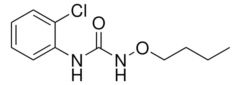 Sigma-Aldrich N-BUTOXY-N'-(2-CHLOROPHENYL)UREA,AldrichCPR