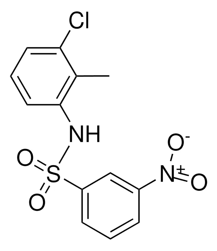 Sigma-Aldrich 3'-CHLORO-2'-METHYL-3-NITROBENZENESULFONANILIDE,AldrichCPR