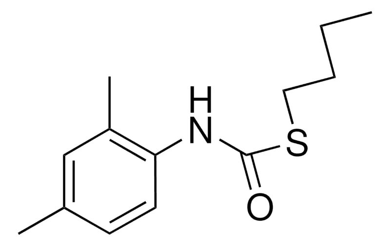 Sigma-Aldrich S-BUTYL N-(2,4-XYLYL)THIOCARBAMATE,AldrichCPR