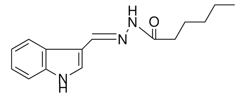 Sigma-Aldrich HEXANOIC ACID (1H-INDOL-3-YLMETHYLENE)-HYDRAZIDE,AldrichCPR