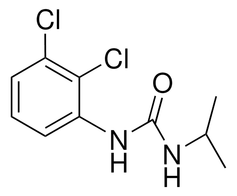 Sigma-Aldrich 1-(2,3-DICHLOROPHENYL)-3-ISOPROPYLUREA,AldrichCPR