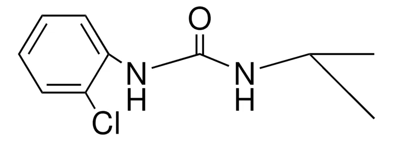 Sigma-Aldrich 1-(2-CHLOROPHENYL)-3-ISOPROPYLUREA,AldrichCPR