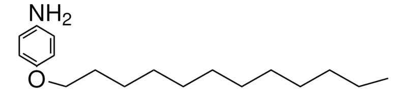 Sigma-Aldrich 4-(DODECYLOXY)ANILINE,AldrichCPR