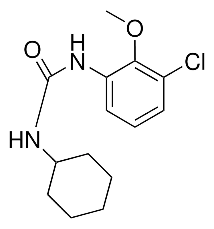 Sigma-Aldrich 1-(3-CHLORO-2-METHOXYPHENYL)-3-CYCLOHEXYLUREA,AldrichCPR