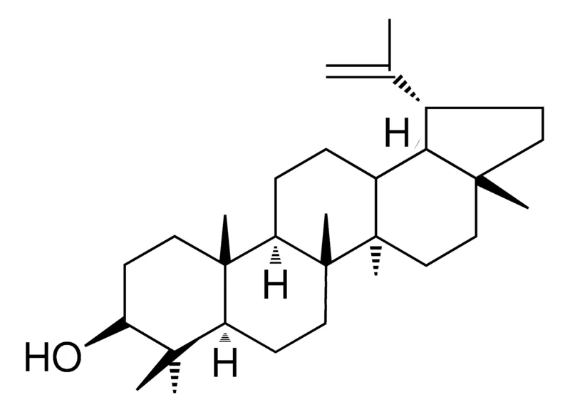 Sigma-Aldrich LUPEOL,AldrichCPR