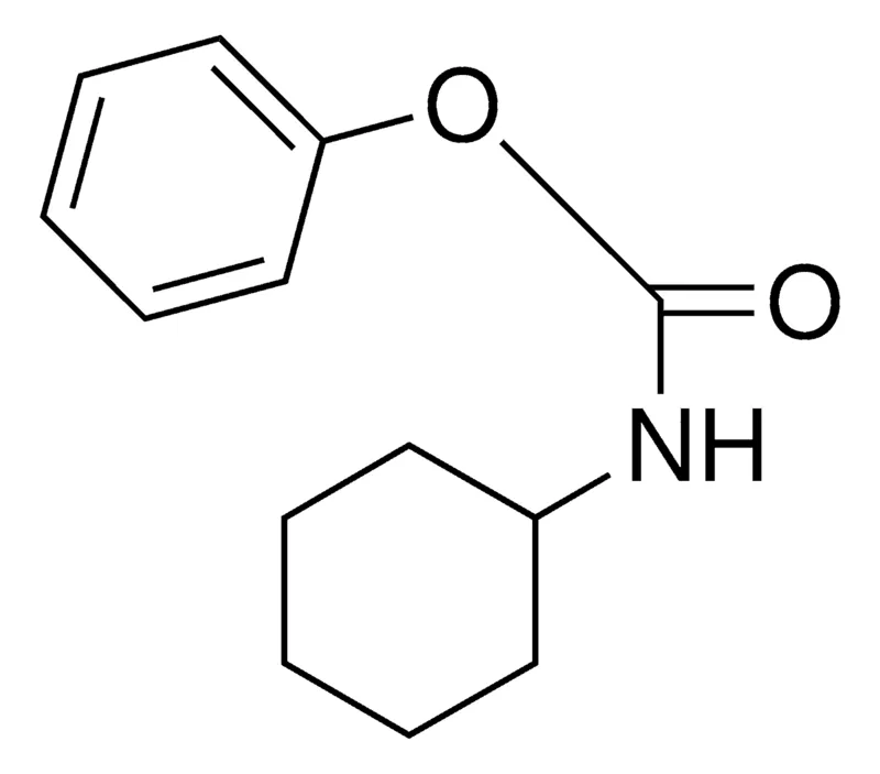 Sigma-Aldrich PHENYL N-CYCLOHEXYLCARBAMATE，AldrichCPR