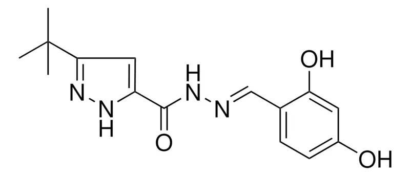 Sigma-Aldrich 5-TERT-BUTYL-2H-PYRAZOLE-3-CARBOXYLIC ACID (2,4-DIHYDROXY-BENZYLIDENE)-HYDRAZIDE,AldrichCPR