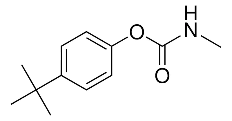 Sigma-Aldrich 4-(TERT-BUTYL)-PHENYL N-METHYLCARBAMATE,AldrichCPR