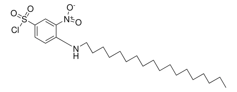 Sigma-Aldrich 3-NITRO-4-(OCTADECYLAMINO)BENZENESULFONYL CHLORIDE,AldrichCPR