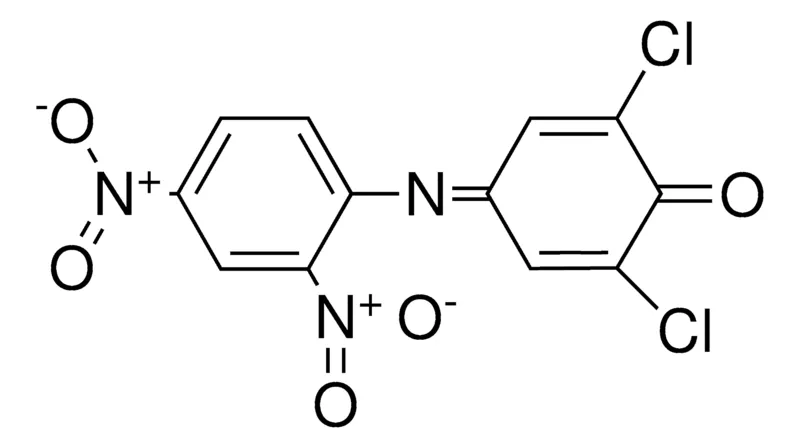 Sigma-Aldrich 2,6-DICHLORO-4-(2,4-DINITRO-PHENYLIMINO)-CYCLOHEXA-2,5-DIENONE,AldrichCPR