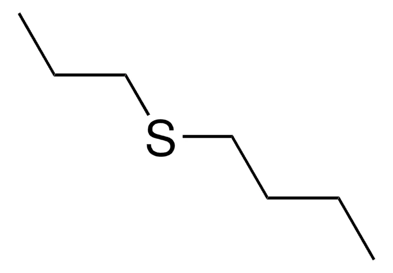 Sigma-Aldrich BUTYL PROPYL SULFIDE，AldrichCPR