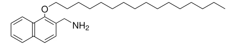 Sigma-Aldrich 1-HEXADECYLOXY-2-NAPHTHALENEMETHYLAMINE，AldrichCPR