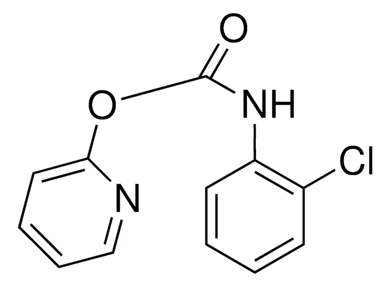 Sigma-Aldrich 2-PYRIDYL N-(2-CHLOROPHENYL)CARBAMATE,AldrichCPR