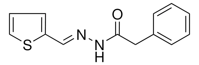 Sigma-Aldrich 2-PHENYL-N'-(2-THIENYLMETHYLENE)ACETOHYDRAZIDE,AldrichCPR