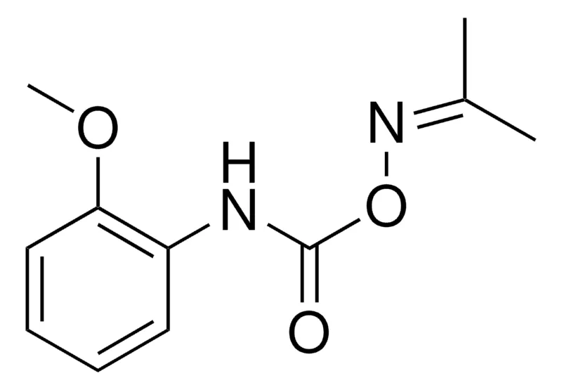 Sigma-Aldrich O-(N-(2-METHOXYPHENYL)CARBAMOYL)ACETONE OXIME,AldrichCPR