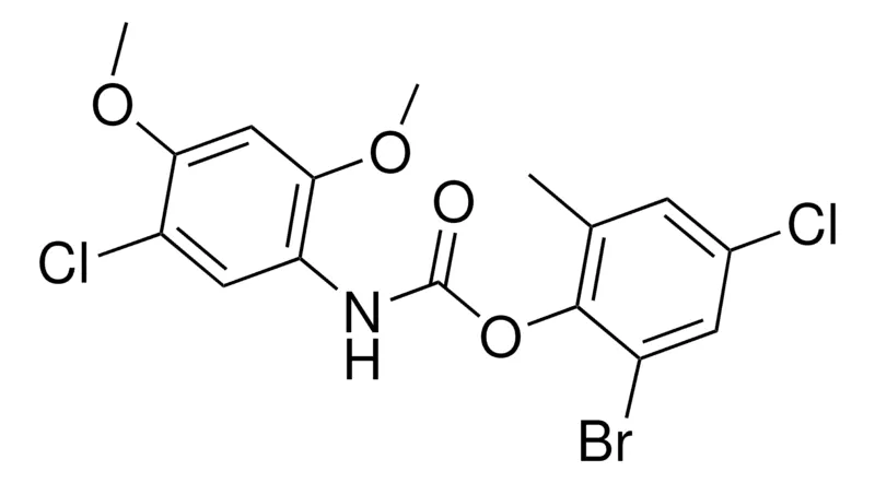 Sigma-Aldrich 2-BROMO-4-CHLORO-6-METHYLPHENYL N-(5-CHLORO-2,4-DIMETHOXYPHENYL)CARBAMATE,AldrichCPR