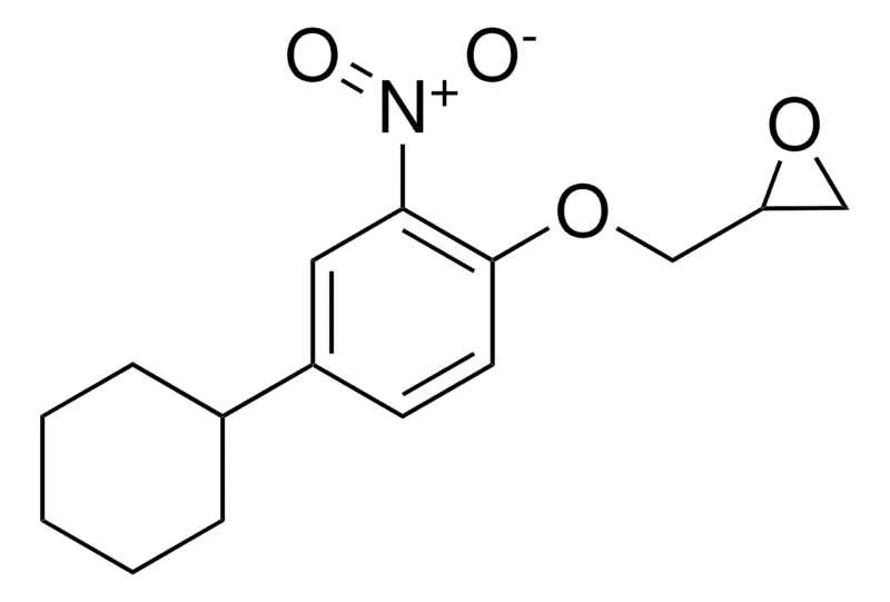 Sigma-Aldrich 2-((4-CYCLOHEXYL-2-NITROPHENOXY)METHYL)OXIRANE,AldrichCPR