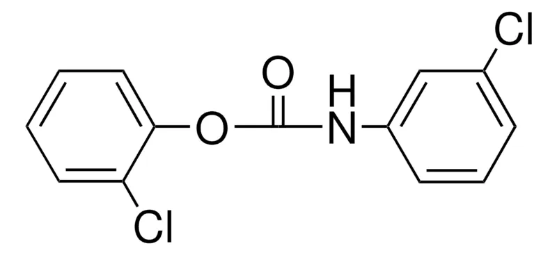 Sigma-Aldrich 2-CHLOROPHENYL N-(3-CHLOROPHENYL)CARBAMATE,AldrichCPR